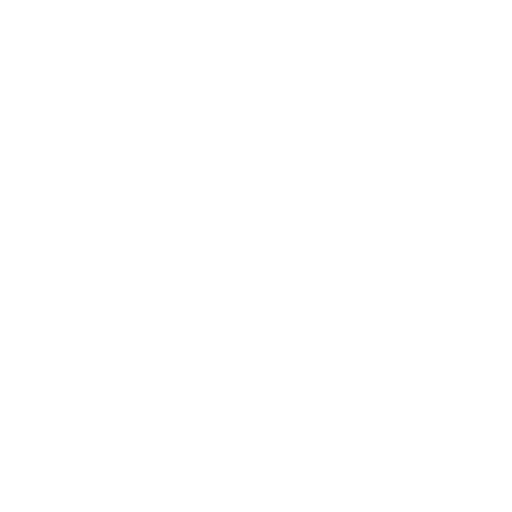 Staff Augmentation