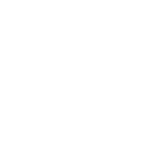 Web Designing